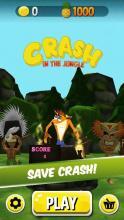 crash run: lost temple jungle dash截图2