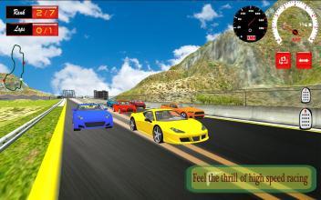 Turbo Car Rally Racing 3D截图5