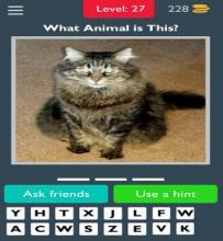 Best Animals Quiz截图5