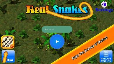 Real Snakes截图5