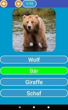 Tierquiz - Tierischer Rätselspaß截图5