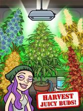 Pot Farm: Grass Roots截圖5