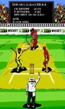 Hit Wicket Cricket 2017 - World Cup League Game截图5