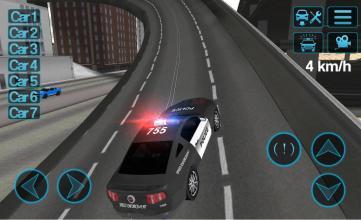 Police Car Driving Sim截图5