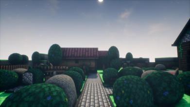 Stardom Valley 3D截图5
