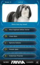 Name that Dog Breed Trivia截图5