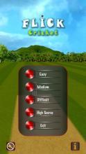 Flick Cricket 3D T20 World Cup截图5