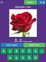 Quiz de flores截图5