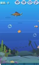 大鱼吃小鱼:小鱼鱼进化记截图2