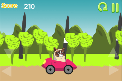 Grumpy Cat Drive截图5