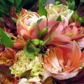 Yo Jigsaw Puzzle: Flowers截图5