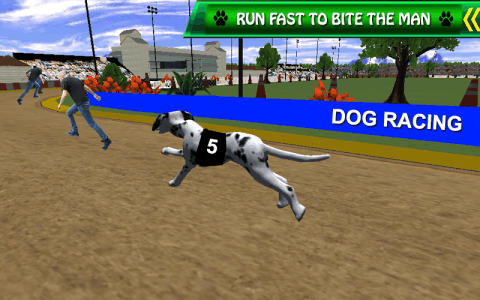 Crazy Dog Racing 3D 2017截图5