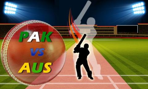 Pak vs Aus Cricket Game Live截圖5