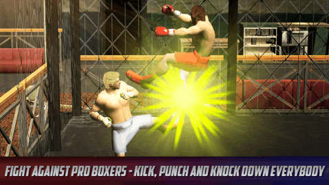 Thai Box Fighting Tiger 3D截图5