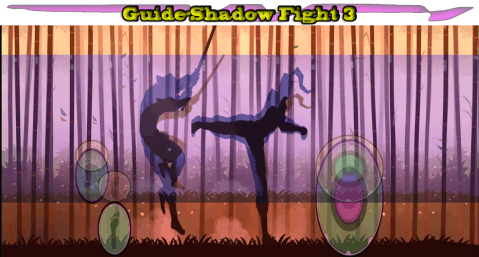 Guide-Shadow Fight 3截图