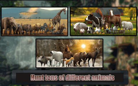 动物狩猎季节截图