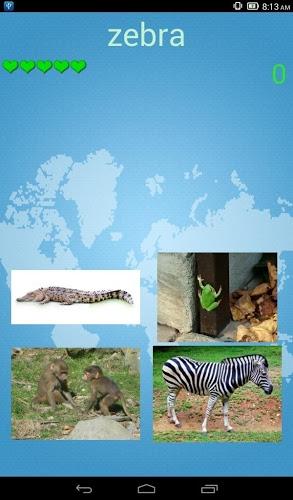 Animals Quiz截图3