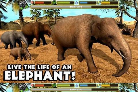 大象模拟器3D3