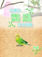 治愈的鸚鵡育成游戲截圖5