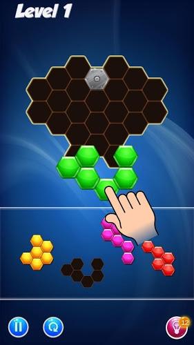 Hexa Puzzle Block截图5