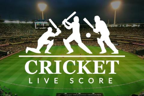 Cricket Live Score : IPL & T20截图