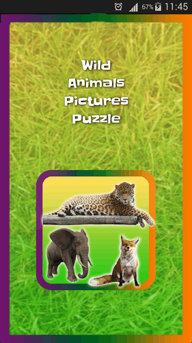 Wild Animals Pictures Puzzle截圖5