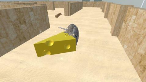 鼠标逃脱3D迷宫迷宫截图