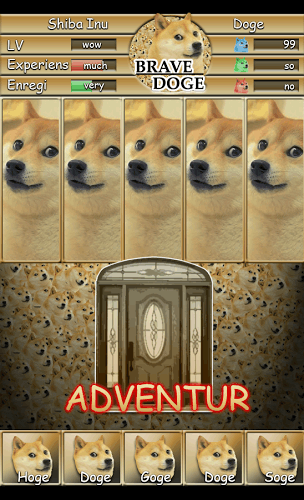 Brave Doge截图