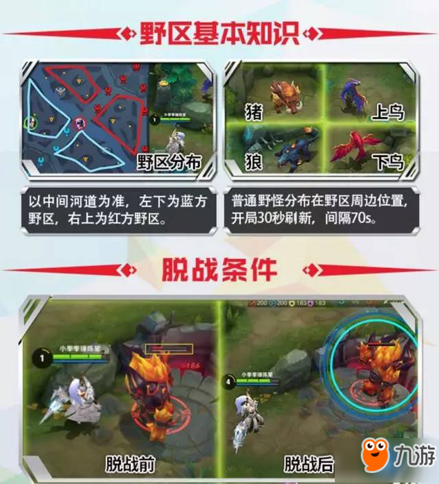 《王者荣耀》野区知识大全 打猪和打鸟金币价格不同