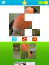 Fit the Pictures - Puzzle game截图5