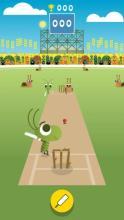 Doodle Bug Cricket截图3