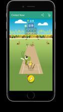 Cricket Now截图2