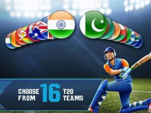 Cricket T20-Multiplayer Game截图4