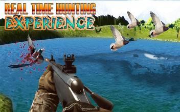 Duck Hunting game 3D截图2