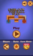 Unblock Ball Puzzle ™截图4