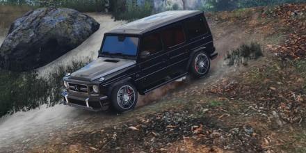 G65 模擬器 AMG 2017截圖5