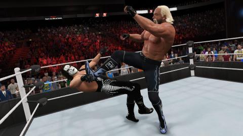 Top WWE 2k Tips截圖1