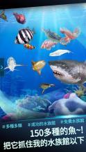 Fishing Rivals : Hook截图2