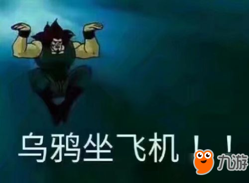 乌鸦坐飞机是什么梗 乌鸦坐飞机是什么意思