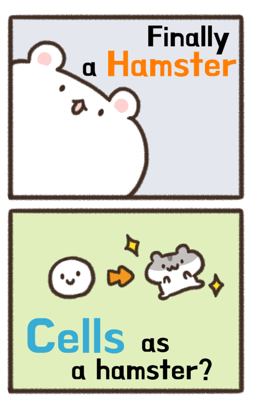 Hamster x Hamster截图5