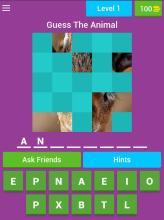 Guess The Animal Pics截图5