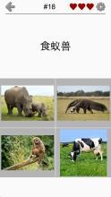 動(dòng)物小測驗(yàn) - 了解動(dòng)物園里的所有哺乳動(dòng)物！截圖4