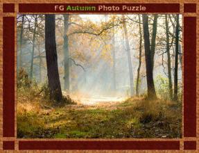 FG Autumn Photo Puzzle截图5