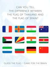 Guess the Country Flag - Test Your Geography截图5