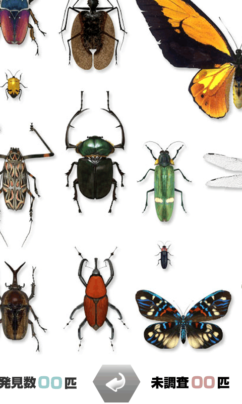 世界の昆虫採集ライト版截图4