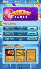 Windfall Bingo截图4