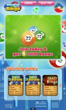 Windfall Bingo截图1