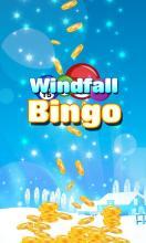 Windfall Bingo截图