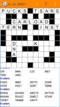 Fill in crosswords Puzzles截图5