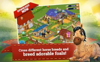 Horse Farm截图2